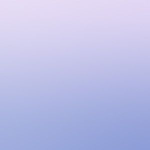 Meet your Posher, Ella